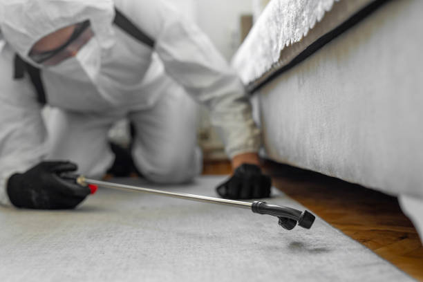 Professional Ant Control technician working in Russellville, AL