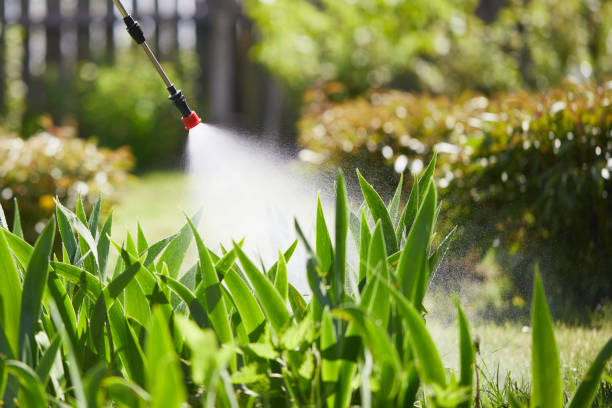 24/7 Emergency Ant Control experts in Russellville, AL